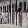 Le Haras de la Vendée, à 30 minutes des Sables d’Olonne